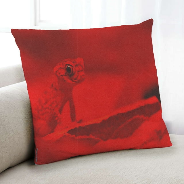 Ahgly Company Color Focus Red Indoor Throw Pillow, 18 inch by 18 inch