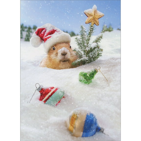 Avanti Press Groundhog with Tree Peeking Out from Pile of Snow Pack of 10 Funny Christmas Cards