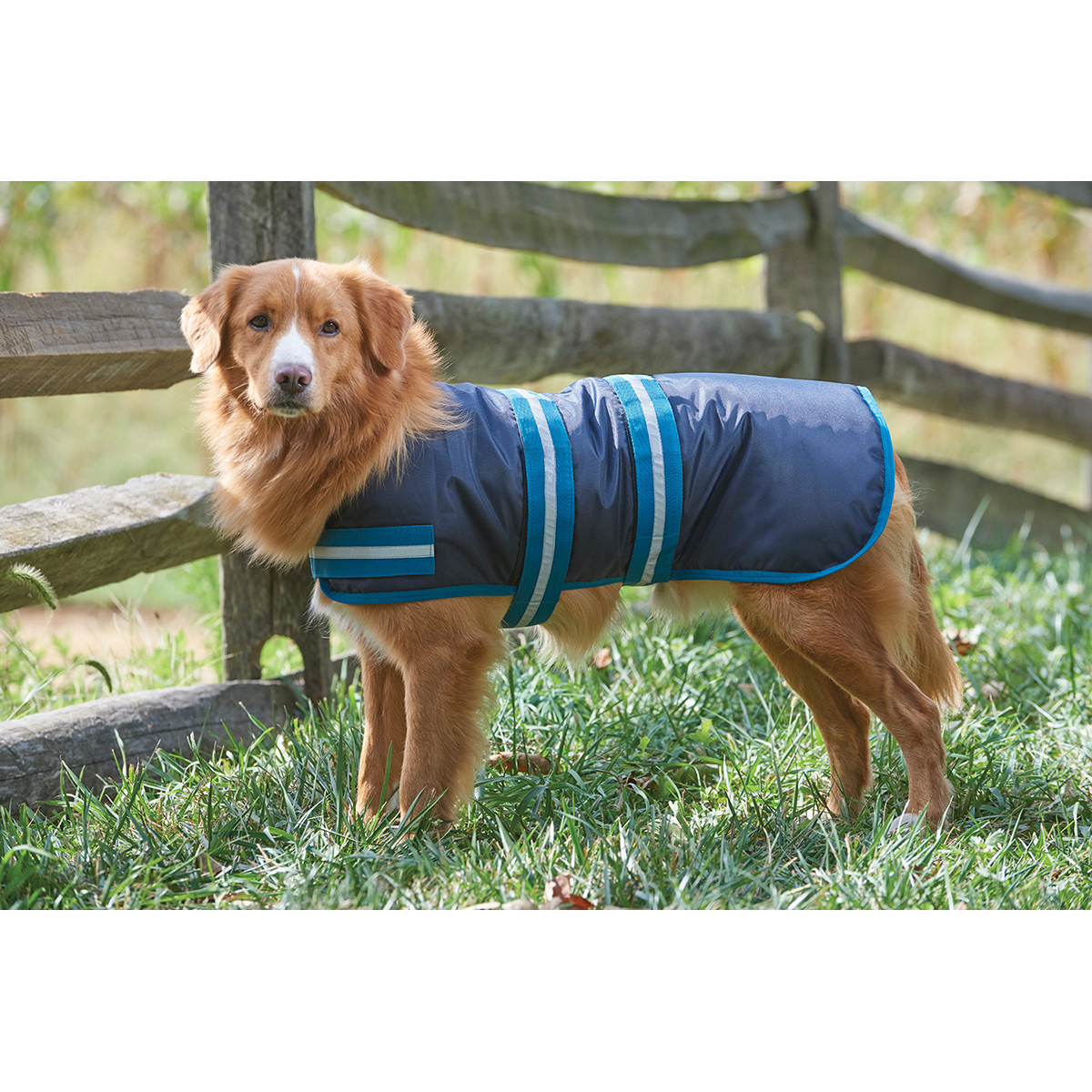 Dog Blanket CoatBlue Small Walmart Canada