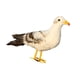 thumbnail image 4 of pájaros artesanía gaviota Navidad juguete hogar jardín acción de gracias decoración #2 Gaviota 2 Cola Pájaro artificial, 4 of 4