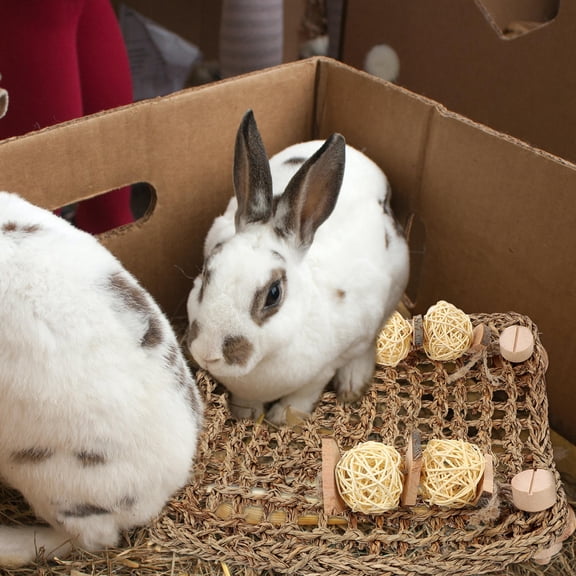 LEORX 1PC Small Animal Pad Scratching Board Light Brown for Home Use