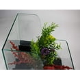 thumbnail image 2 of Penn-Plax Aquaterrium Planting Tank, 2 of 4
