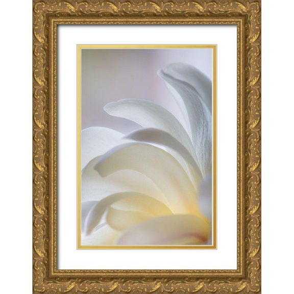 Mahan, Kathy 11x14 Gold Ornate Wood Framed with Double Matting Museum Art Print Titled - White Magnolia