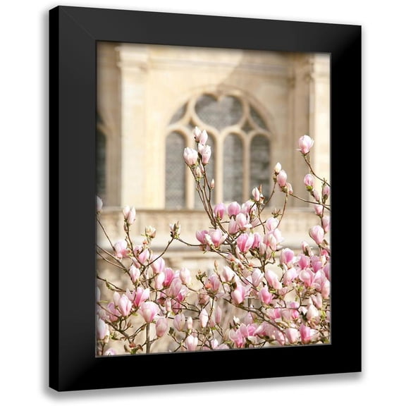 Okula, Carina 11x14 Black Modern Framed Museum Art Print Titled - Spring Magnolias In Paris