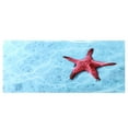 thumbnail image 2 of AMONIDA High Transparency Aquarium Decorative Sticker, Aquarium Background Sticker, For Aquarium, 2 of 8