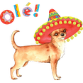 thumbnail image 3 of CafePress - Fiesta Chihuahua Light T Shirt - Men's Classic Cotton T-Shirts, 3 of 3