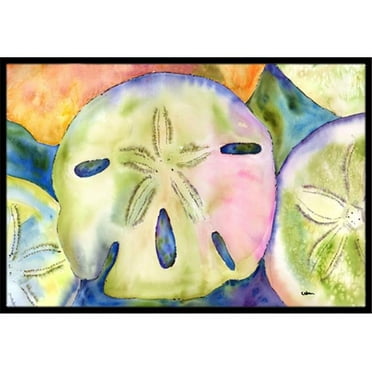 Sand Dollar Indoor Or Outdoor Mat - 18 x 27 in.