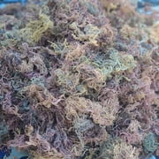 Swahili Sea moss | Ocean Harvested Raw Purple Sea Moss from the Indian Ocean 16 oz. ( 1 lb.) from Tanzania ( Makes 272 ounces of Sea Moss)