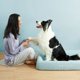 thumbnail image 4 of Indoor Sofa Puppy Dog Bed Accessories Kennel Canil Enclose Cat Shop Dog Bed Camping Furniture Casa Perro Pet Products MR50DH ShopWise Round, 4 of 8