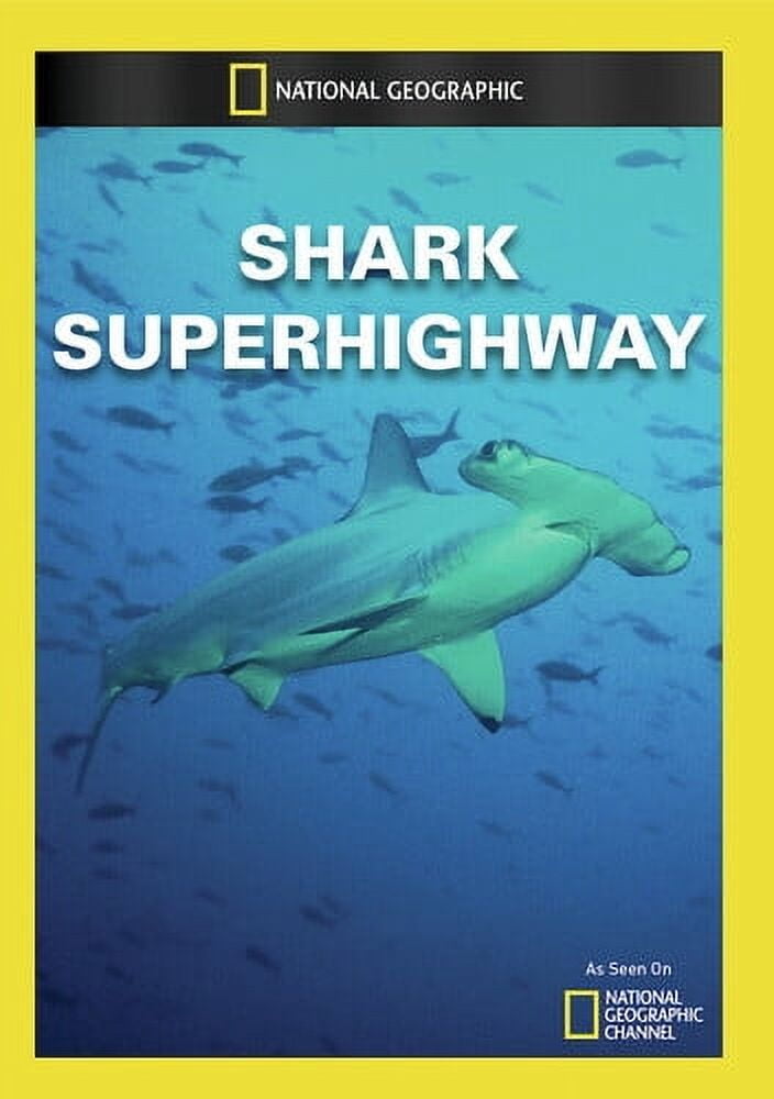 その他 Expedition Great White: Feeding Frenzy [DVD] Expedition Great White: Feeding Frenzy (DVD), National