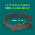 thumbnail image 4 of Vetality Harmony Pet Calming Collar for Dogs 1ct, 4 of 8