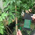 thumbnail image 4 of 2.8mm Reusable Garden Plant Twist Ties, 2 Pack Heavy Duty Flexible Wire Ties, 4 of 5