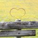 thumbnail image 4 of unbranded Estaca De Jardín Metálica Con Corazón Oxidado Y Acabado Rústico Marrón, 4 of 8