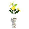 thumbnail image 1 of Maceta Tipo David Decorativa Impremli, 1 of 7