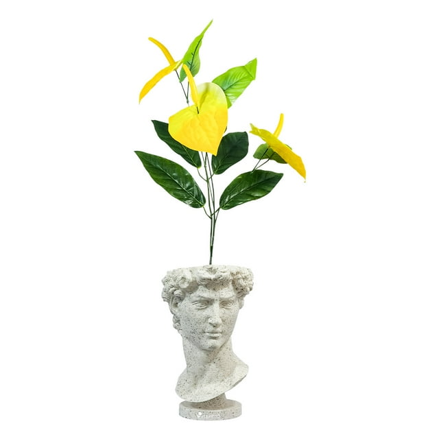Maceta Tipo David Decorativa Impremli