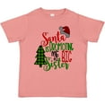 thumbnail image 3 of Inktastic Santa is Promoting Me to Big Sister Green Plaid Tree Girls Toddler T-Shirt, 3 of 5