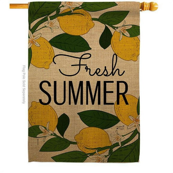 Angeleno Heritage H137189-BO Fresh Summer Summertime Fun & Sun 28 x 40 in. Double-Sided Decorative Vertical House Flags for Decoration Banner Garden Yard Gift