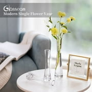 Glasseam Glass Bud Vases in Bulk 9.64Tall Clear Skinny Vases Set of 6 Small Single Flower Vase for Centerpiece