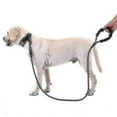 thumbnail image 4 of Reflective Dog Leash Pet Training Running Rope Durable Nylon Rope Leashes, 4 of 5