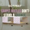 thumbnail image 4 of Carpet Beetle Traps – 20 Pack | Sticky Indoor Glue Boards for Carpet Beetles, Larvae & Other Crawling Insects | Non-Toxic Pest Control Trap & Monitor for Closets, Storage Areas, and More, 4 of 10
