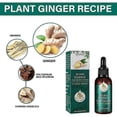 thumbnail image 4 of Productos PARA EL CRECIMIENTO DEL cabello Yuxing con jengibre SUERO líquido anticaída, 4 of 5