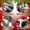 4A, variant on Decorative Design Christmas Banner with Red Car and Golden Retrievers for Holiday Celebration Winter Festive Event