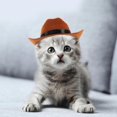thumbnail image 3 of 2Pcs Pet Dog Hats Decorative Cat Hats Cowboy Hat Straw Hats Party Headwear, 3 of 3