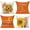A+B+C+D, variant on 1Pc/4Pcs Fall Outdoor Throw Pillow Covers Thanksgiving Orange Sunflower Autumn Decorative Cushion Cases Decorations Home Décor for Patio Couch Chair Sofa, Gnomes, 18X18Inch