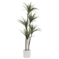 thumbnail image 1 of Bouclair Plante de Sol Exotique Artificielle dans Pot Blanc, 1 of 10