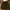 Army Green, variant on FAIWAD Summer Solid Color Shorts for Women High Waist Tie Front Wide Leg Shorts Casual Smocked Shorts with Pockets