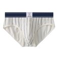thumbnail image 2 of zeranth Men Casual Briefs Vertical Striped Pattern Elastic Wide Waistband Mid-rise Panties 3D U-convex Breathable Stretchy Underwear, 2 of 7