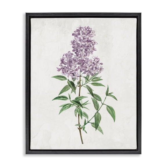 Stupell Industries Transitional Lilac Blossoms Blooms Black Floating Frame Canvas Art, 17 x 21, by Kim Allen