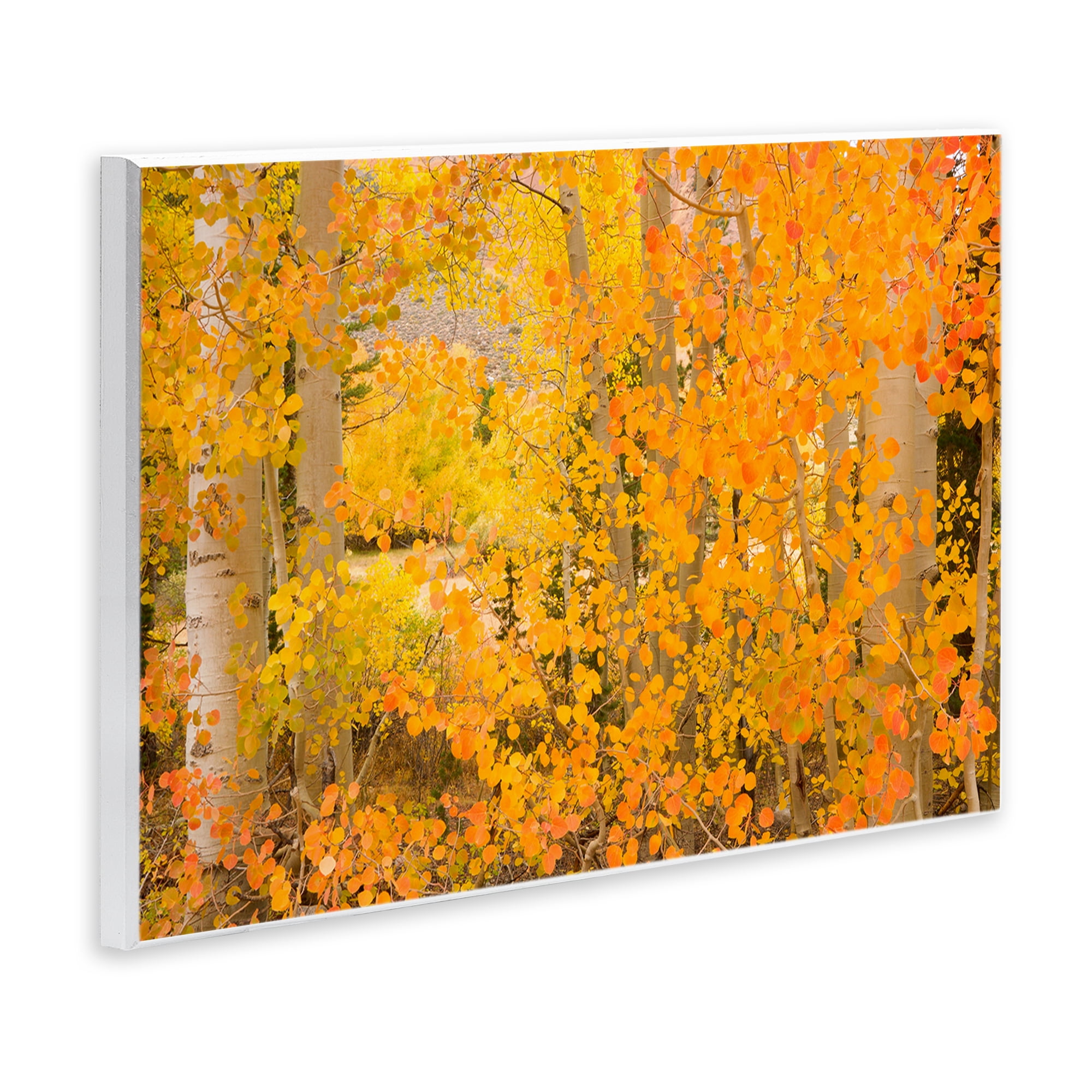 Stupell Industries Dense Birch Foliage Plants & Flowers Photography Unframed Art Print Wall Art, 19 x 13