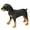 24th, variant on Cuddly Dog Plush Pillow Soft Stuffed Dog Toy for Kids and Home Decoration Large Size