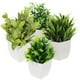 thumbnail image 1 of Planta en maceta falsa de escritorio, decoración de plantas para el hogar, planta Artificial decorativa, 4 Uds., 1 of 6