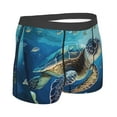 thumbnail image 3 of Fotbe Watercolor Turtle Men’s Total Support Pouch Boxer Briefs, X-Temp Cooling, Moisture-Wicking Underwear, Regular, Long-leg and Trunk-X-Large, 3 of 9