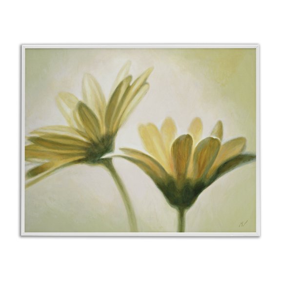 Stupell Industries Traditional Two Daisies White Framed Giclee Art, 14 x 11, by Massimo Valli