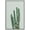 WHITE, variant on wall26 Framed Canvas Print Wall Art Southwestern Green Desert Cactus Floral Plants Photography Realism Rustic Closeup Colorful Multicolor Ultra for Living Room, Bedroom, Office - 16"x24" Wh