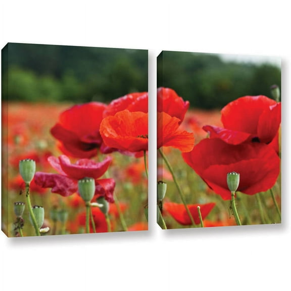 ArtWall Lindsey Janich "Red Flower 2" 2-Piece Floater Framed Canvas Set