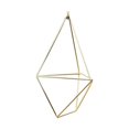 thumbnail image 2 of New Wall Mounted Air Plants Holder Irregular Geometric Metal Hanging Rack for Branch Eave Ceiling, 2 of 5