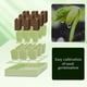 thumbnail image 4 of Juego de herramientas de jardinería para exterior con bandeja reutilizable para granos | Suministros de jardinería duraderos para organizar semillas y tierra | Kit ecológico, 4 of 6