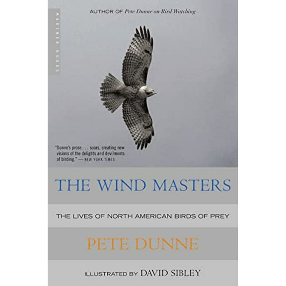 The Wind Masters (Paperback)