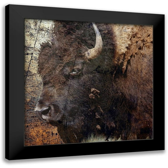 Phillip, Jamie 12x12 Black Modern Framed Museum Art Print Titled - Mr.Buffalo
