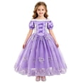 thumbnail image 5 of HAWEE Princess Dress for Girl Purple Cosplay Halloween Costume Puff Sleeve Layerd Dresses, 5 of 7