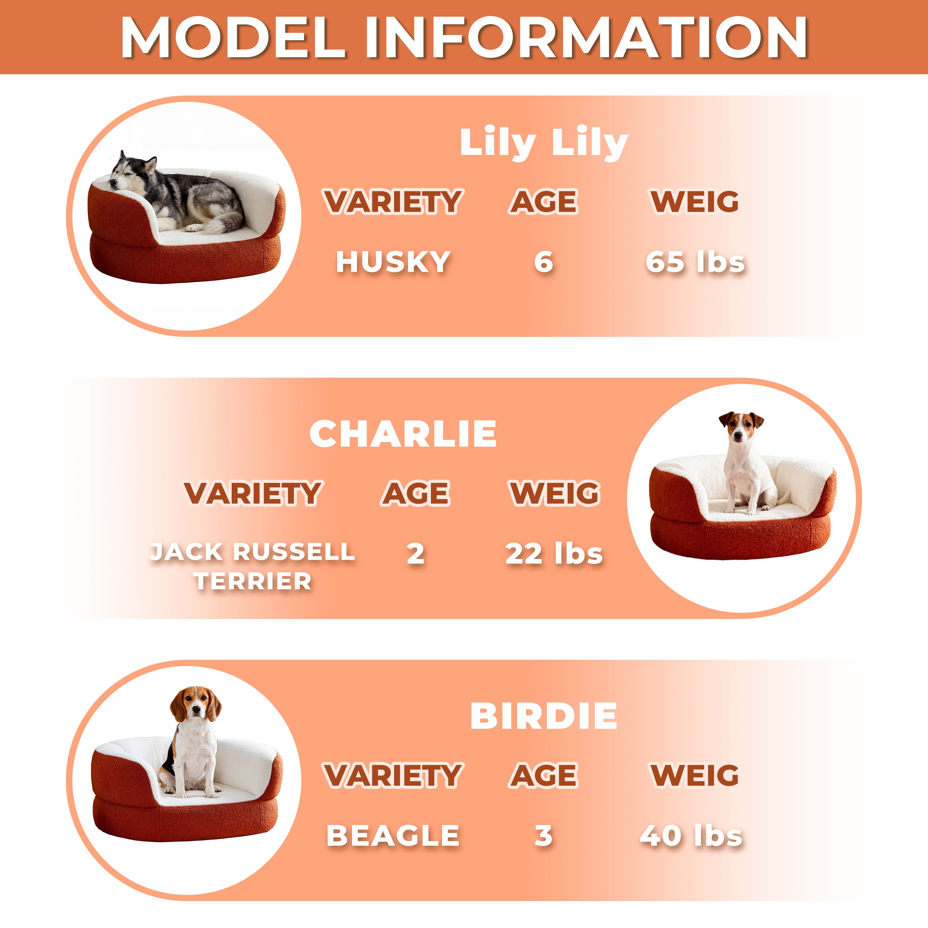 39.4" No Assembly Required Dog Couch Bed, Furniture Style Orthopedic Doggy Chaise with Foam for Dogs up to 75lbs, Round Faux Shearling Pet Sofa Bed with Removable Leather Mat for Living Room Bedroom
