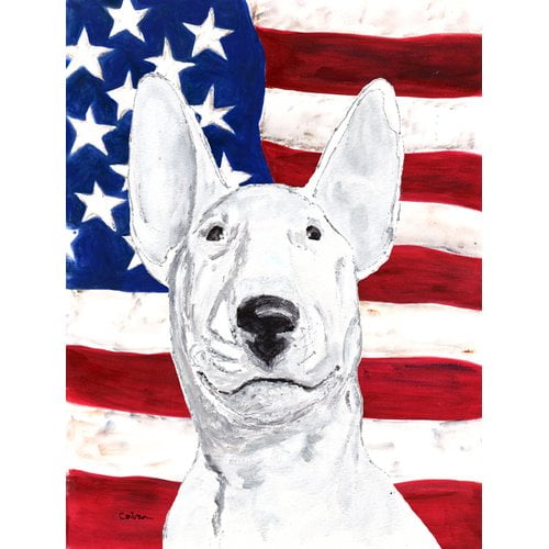 Caroline's Treasures American 2-Sided Polyester 15 x 11 in. Garden Flag