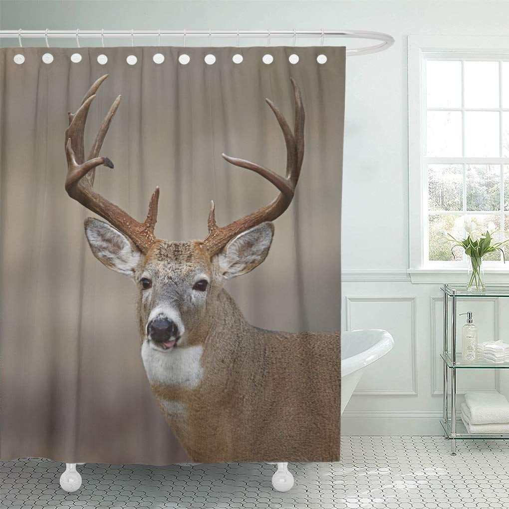 Whitetail Deer in Woods River Bathroom Fabric Shower Curtain & 12 Hooks 71 Inch 