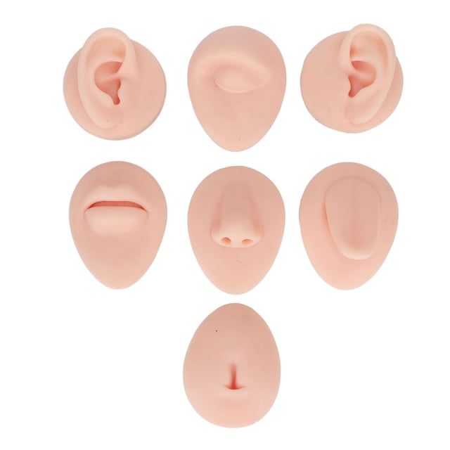 Ear Model, Reusable Simulation Easy To Operate Soft Nose Tongue Model Body Practice Model For Piercers Light Skin Color