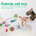 thumbnail image 3 of 16pcs Retractable Cat Wand Toy Set Colorful Cat Teaser with Feather Head Replacement & Bell Cat Stick Supply for Kitten, 3 of 6