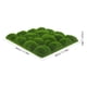 thumbnail image 4 of ColoMX 2 PCS MOSS MOSS MOSS FALSO MOSSO, 4 of 7